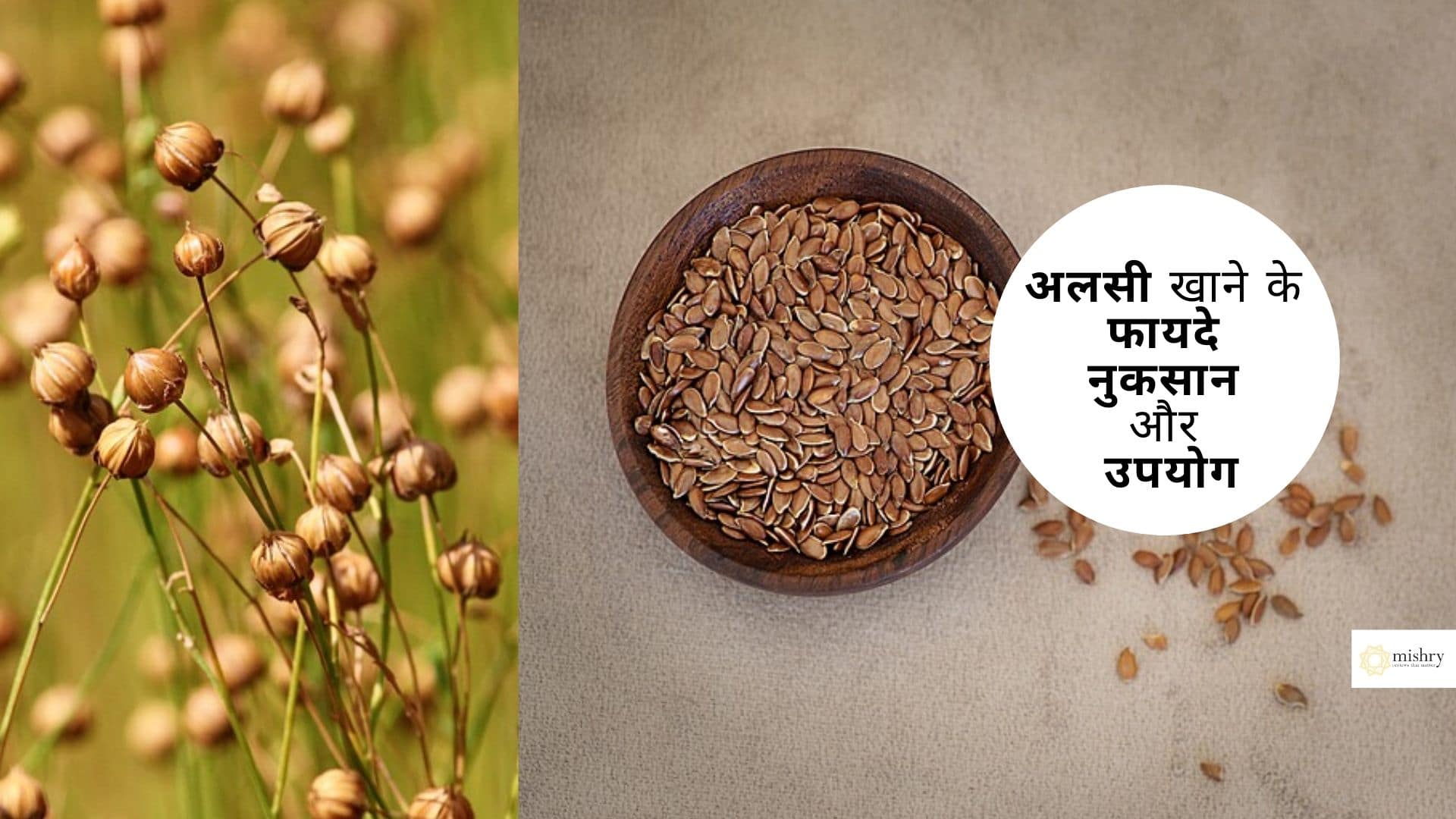 अलसी के फायदे, उपयोग और नुकसान (Flax Seeds (Alsi) Benefits, Uses and