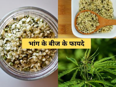 benefits of hemp seeds in hindi