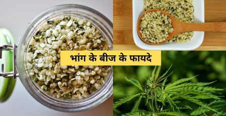 benefits of hemp seeds in hindi