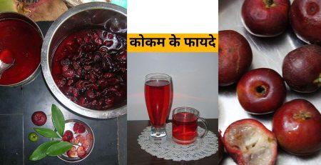 benefits of kokum- image credit- commons.wikimedia.org