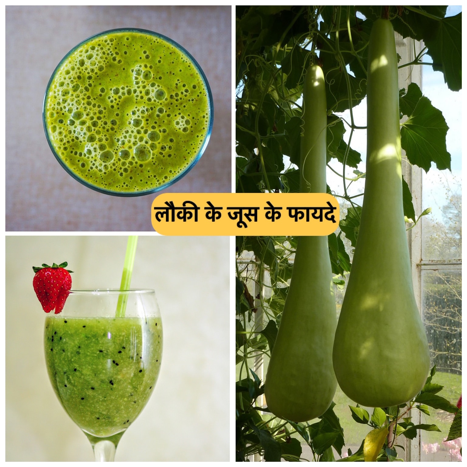 benefits-of-bottle-gourd-juice-how-to-make-bottle-gourd-juice-youtube