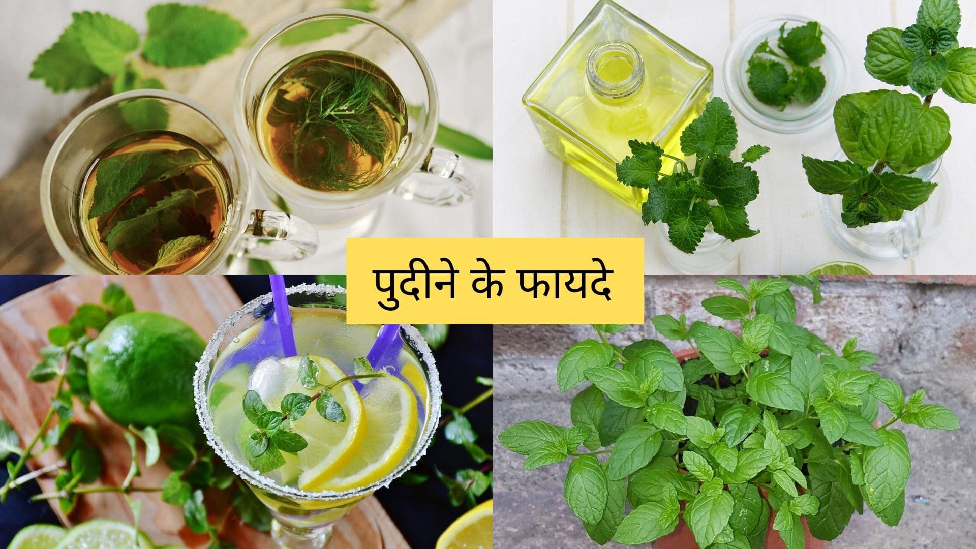 benefits of mint leaves