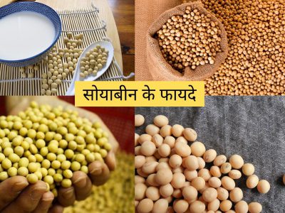 benefits of soybean