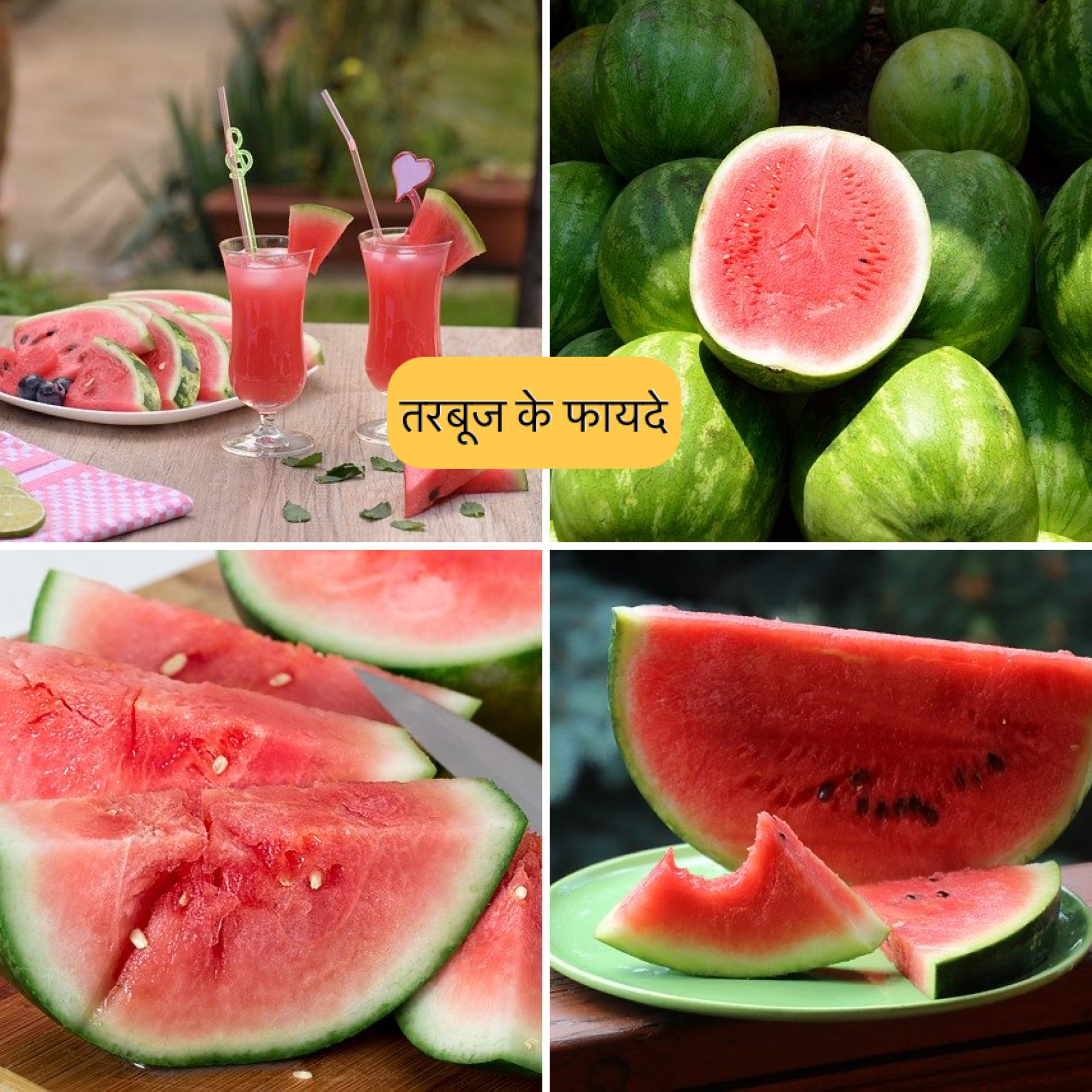 magical-watermelon-farming-hindi-kahani-hindi