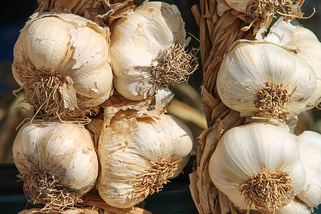 Eating Garlic in Empty Stomach Benefits And Ways