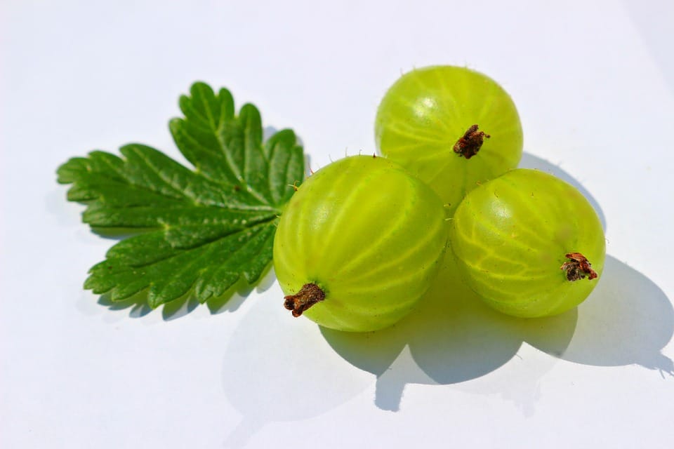 benefits of amla powder